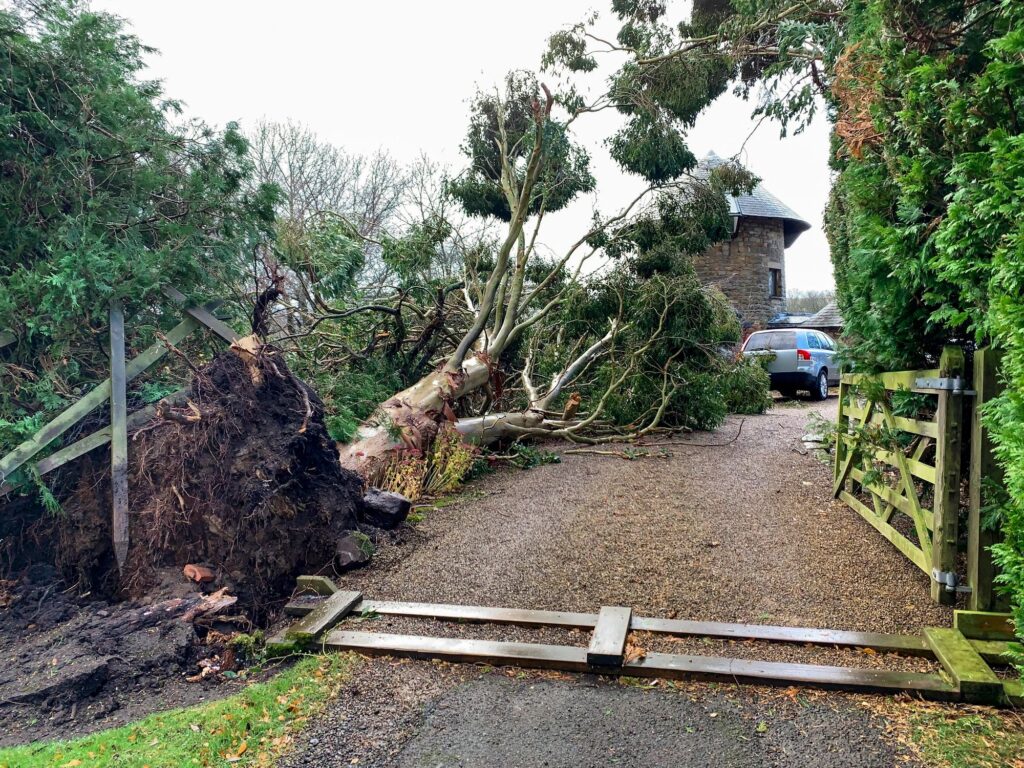 Devastation Cause by Storm Arwen