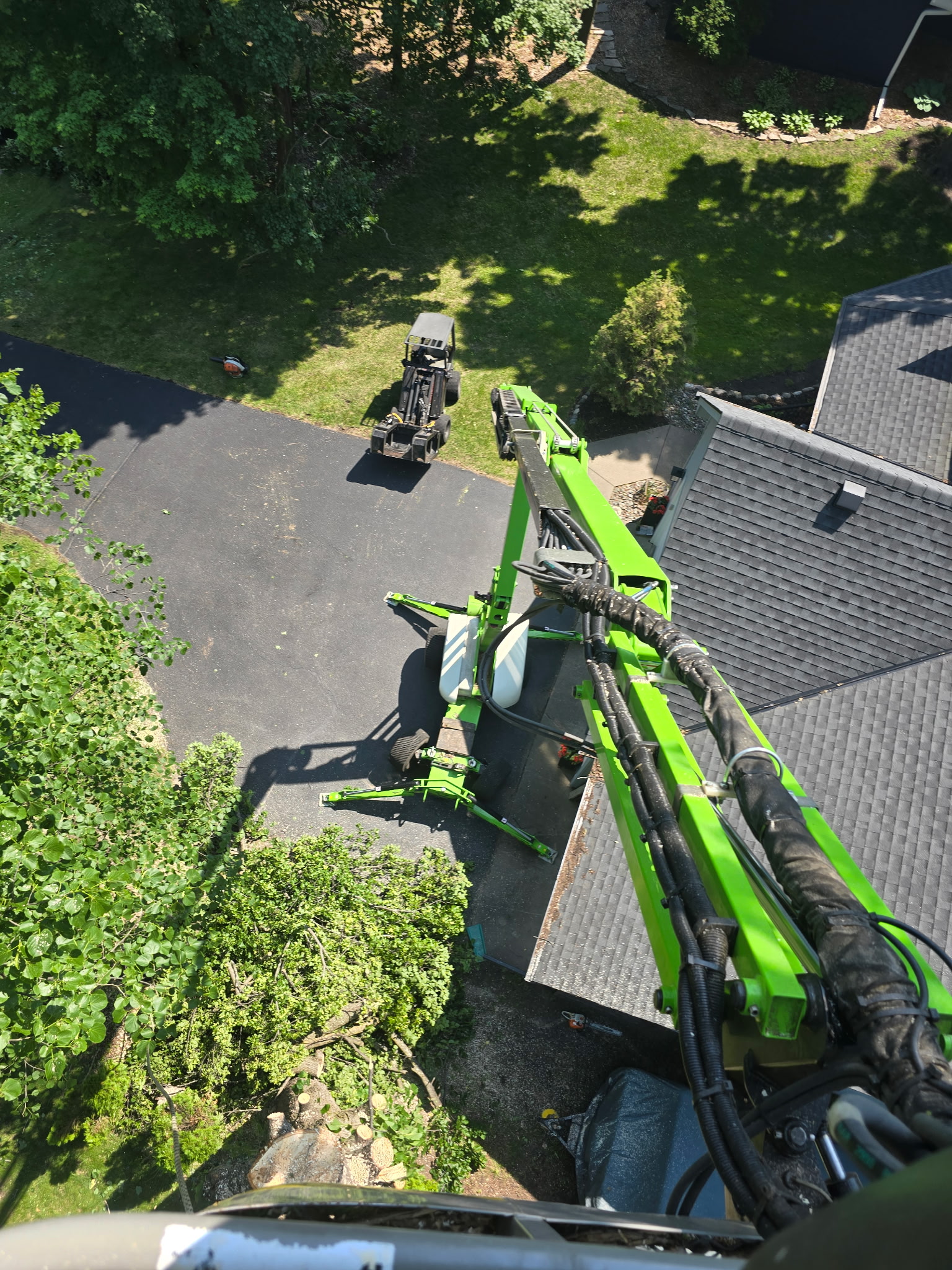 Tree service work photo