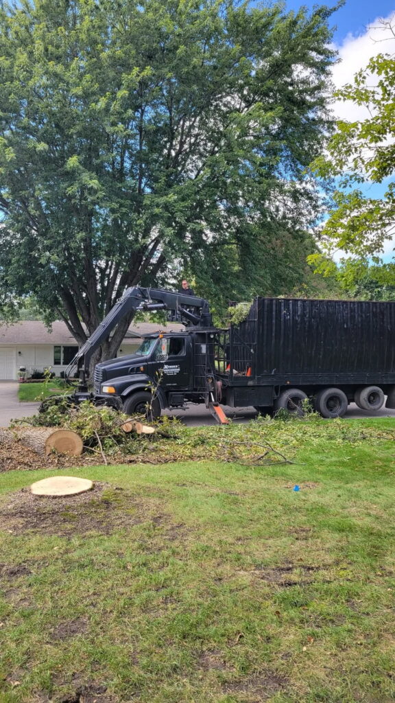 Tree service work photo