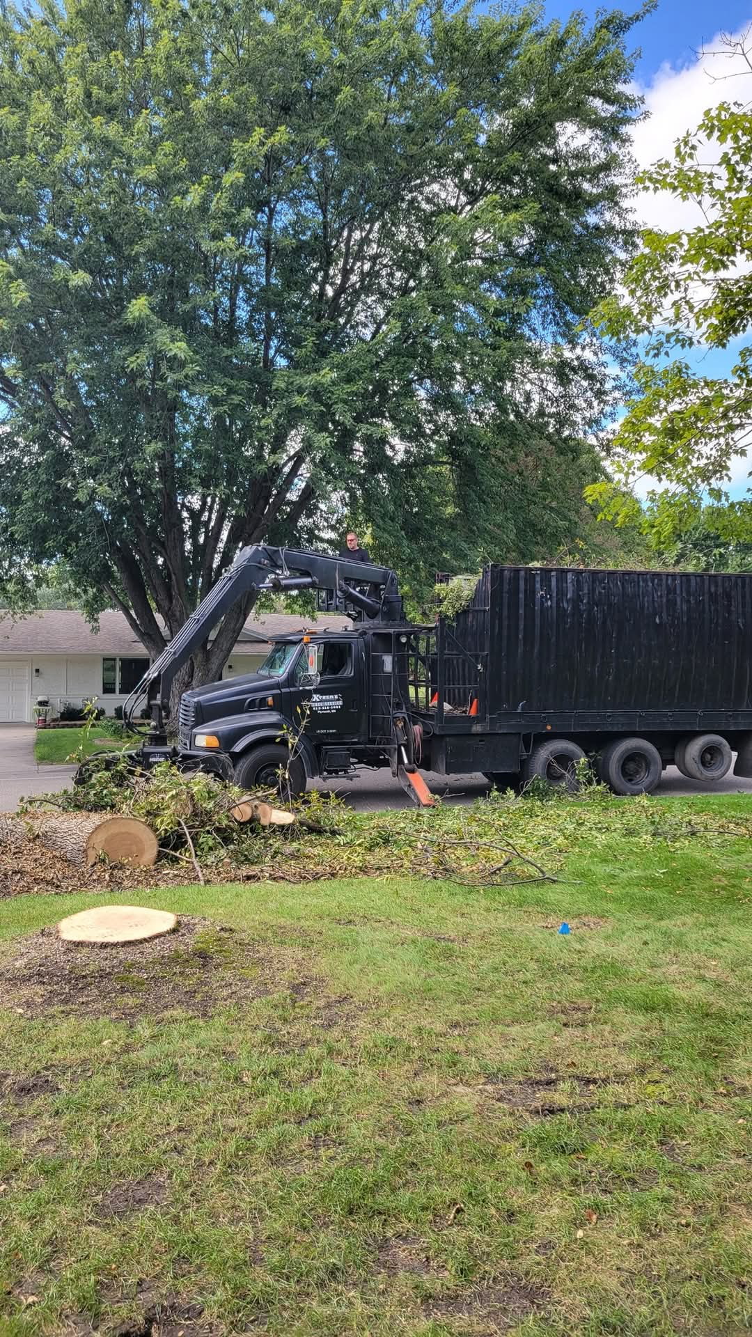 Tree service work photo