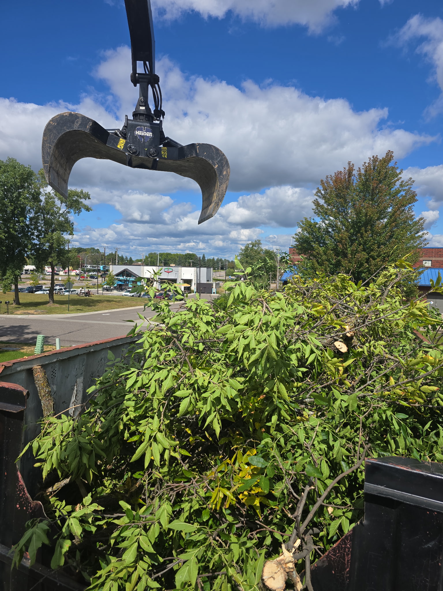 Tree service work photo